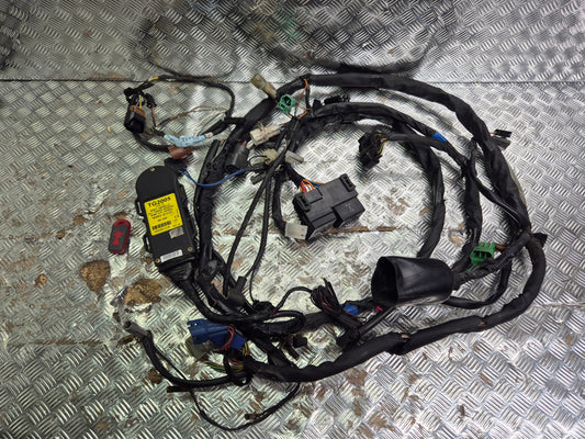Faisceau électrique complet avec alarme suzuki 600 bandit S 2000-2004