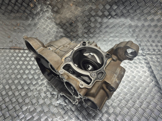 Carter moteur GAS GAS 450 WILD HP 2004-2006
