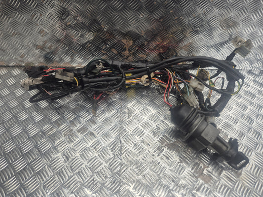 Faisceau PEUGEOT LUDIX BLASTER RS12 2007-2014